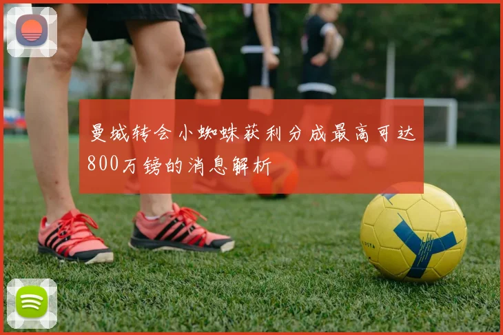 曼城转会小蜘蛛获利分成最高可达800万镑的消息解析