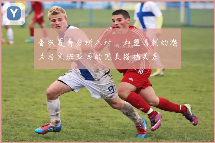 香农夏普分析八村塁加盟马刺的潜力与文班亚马的完美搭档关系