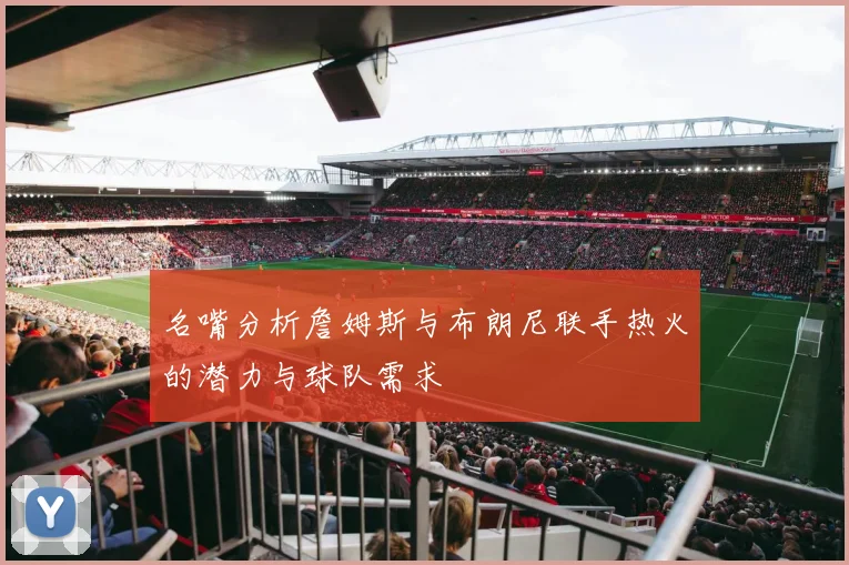 名嘴分析詹姆斯与布朗尼联手热火的潜力与球队需求